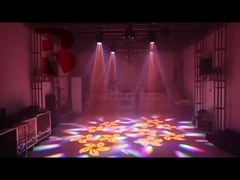 مدل مینی با پریزم RGBW برای نشان دادن نور چشم زنبور 6